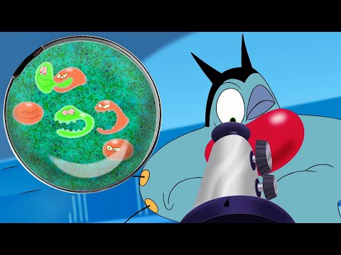 Oggy and the Cockroaches 🧐 SCIENCE PROJECT - Full Episodes HD