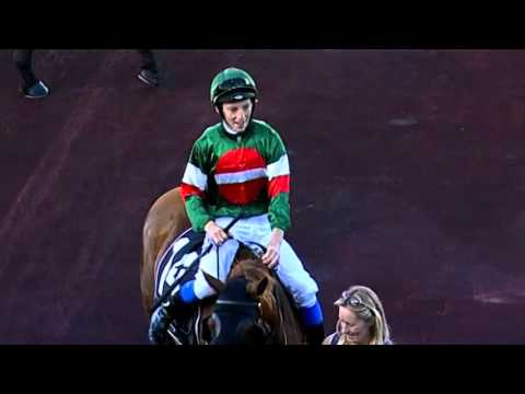 Ascot, 16/12/2015 - Race 8 - HUSSTOBEGOLD - Ashley Maley