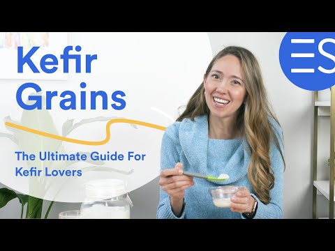 Kefir Grains - The Ultimate Guide For Kefir Lovers