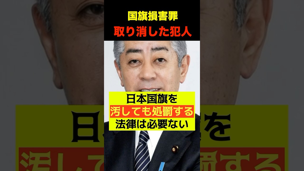 【岩屋毅】国旗損害罪を拒絶した犯人！日本の国旗は燃やし放題！