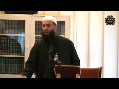 Lijenost - Prof. Hajrudin Ahmetovic (Hutba u Švedskoj u gradu Halmstad 2013-02-15) [HD]