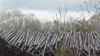 preview picture of video 'Log Sprayers at Rex Lumber Timber Yard (2017-03-10)'