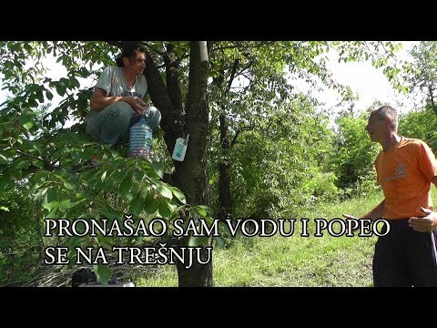 PRONALAŽENJE VODE U GRADAČCU - Sa Ričijem u avanturu