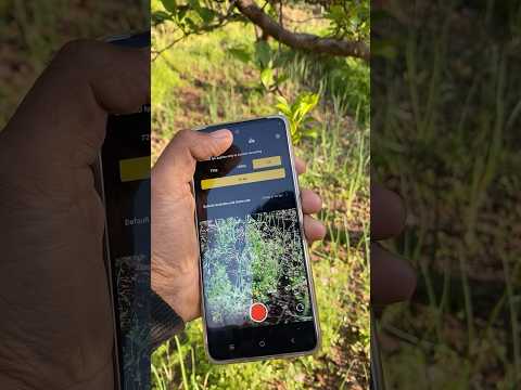 Vivo T4x 5g Maximum Video Shooting at 4k 30fps 🔥