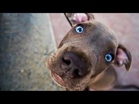 Johny Core - Настроение (Prod. by Virtua Futura & Young Jew)