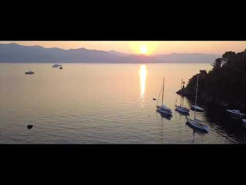 Animus Delami Full HD