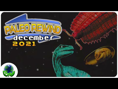 PaleoRewind 2021 FINALE | December
