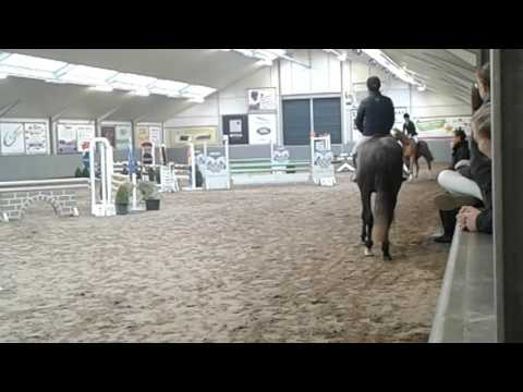 My pippa vd zwartbleshoeve