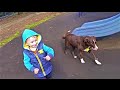 Ребенок с собакой на детской площадке, Das Kind mit dem Hund auf dem ...