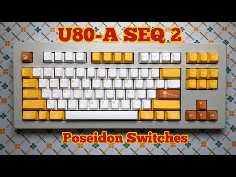 Rama Works U80-A SEQ2 with Poseidon Switches