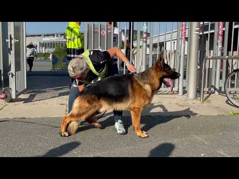 sg 1 Mio vom Team Hühnegrab