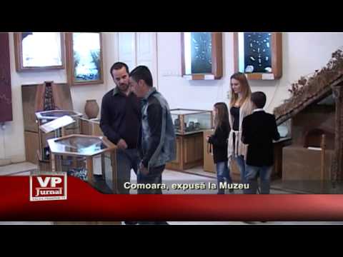Comoara, expusă la Muzeu