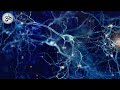 Increase Brain Power, Enhance Intelligence, IQ to improve, Binaural Beats, Improve Memory Increase Brain Power, Enhance Intelligence, IQ to improve, Binaural Beats, Improve Memory