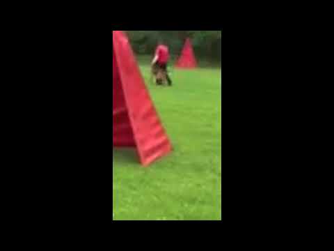 Turk 100-92-99 IPO1 Protection