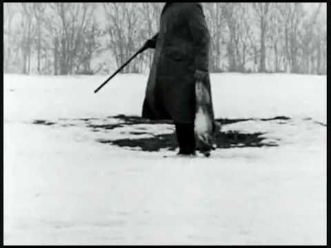 Video thumbnail for Learning to Hunt