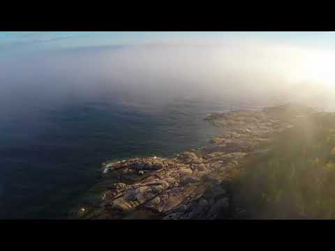 (Lyrics + Vietsub)WASER - Don't give up on me (Feat. Robbie Rosen)