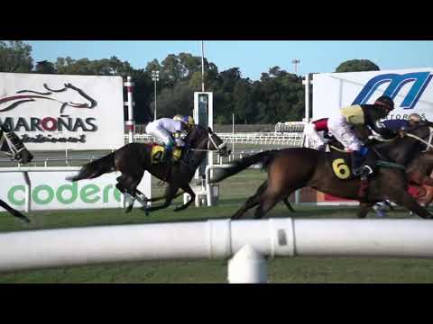 230312 c07 NOCHE DEL SUR