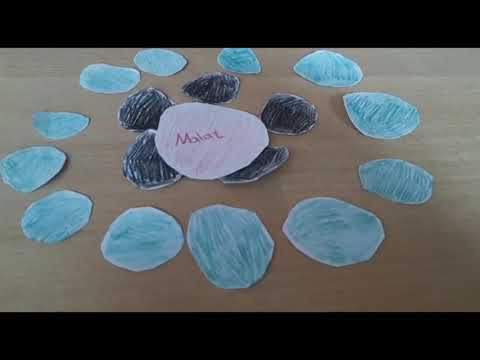 Calvin-Zyklus in der C4 Pflanze