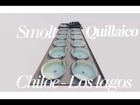 Así se construye una Sala Smolt RAS | Piscicultura Quillaico, Los Lagos 🇨🇱