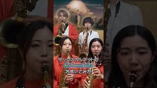 Download lagu Columbiaをサックスカルテットで吹いてみた - Pash Saxophone Quartet #shorts mp3