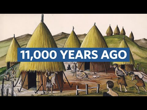 Why Did Humans Invent Cities?