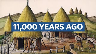 Why Did Humans Invent Cities?