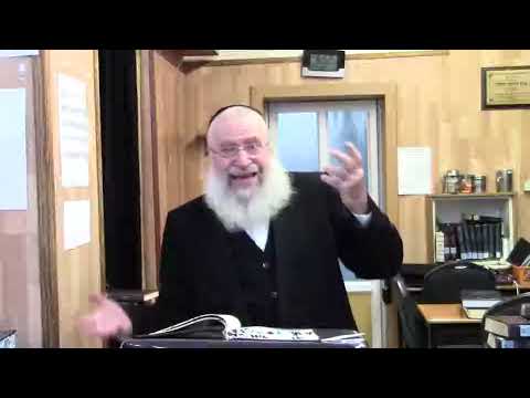 Biur Chametz | Shiur by Rav Asher Weiss Shlit"a (5779)