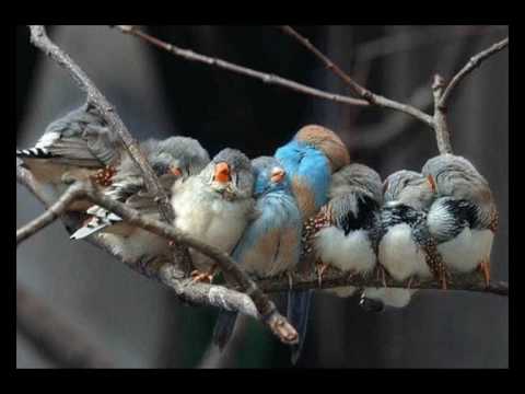 Thumbnail for Such A Thing As Glory video