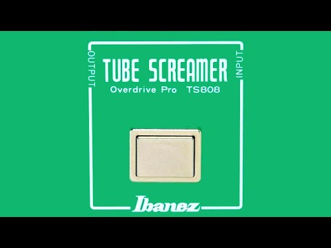 Affordable Ibanez TS 808 Alternatives