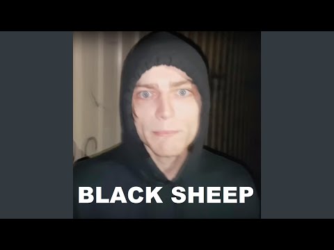 Black Sheep