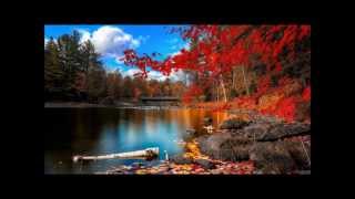 Autumn Leaves - Chris Brown (WITHOUT Kendrick Lamar)