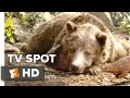 The Jungle Book TV SPOT Meet The Voice Of Baloo 2016 Bill Murray Ben Kingsley Movie HD