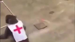 Download lagu Monyet Lucu Cydra Rupanya Kain Nya Lepas.Versi Minang Kocak mp3