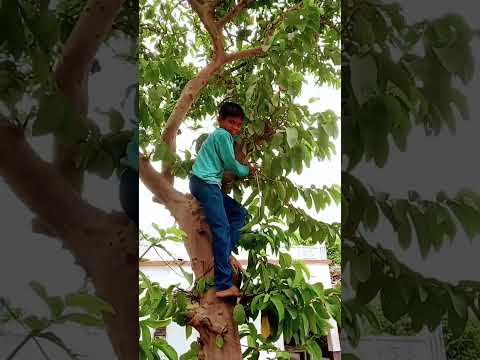 mutpiana ke dar ba #sortvideo