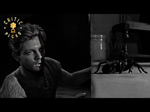 Basement Becomes a Battleground (Grant Williams Scene) | The Incredible Shrinking Man