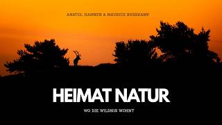 HEIMAT NATUR - Wo die Wildnis wohnt I Cinematic Shortfilm I 4K