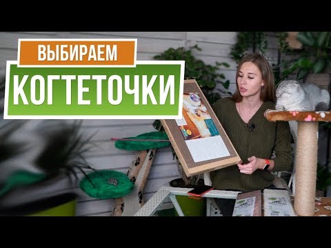 Обзор Всех Когтеточек для Кошек ✔️ Какую выбрать когтеточку