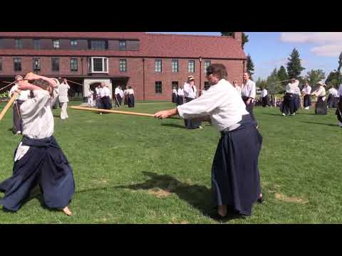 Birankai Aikido Summer Camp 2017 - D. Deskin, Jo/Bokken Weapons, Class 1