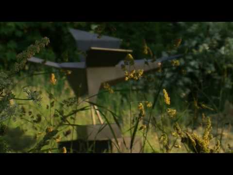 One Midsummer Morning