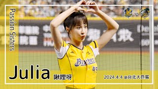 【台湾チア】Julia | Passion Sisters | 江坤宇,徐博瑋 應援曲 + 勝利出擊 [中文歌詞]