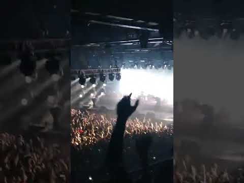 luz delito p2 17/12/21 wos