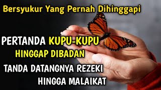 Download lagu 🔴BERSYUKUR YANG PERNAH DIHINGGAPI | PERTANDA KUPU-KUPU HINGGAP DI BADAN TANDA DATANGNYA REZEKI mp3 Download lagu 🔴BERSYUKUR YANG PERNAH DIHINGGAPI | PERTANDA KUPU-KUPU HINGGAP DI BADAN TANDA DATANGNYA REZEKI mp3