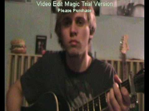 From The Land - The Vines
