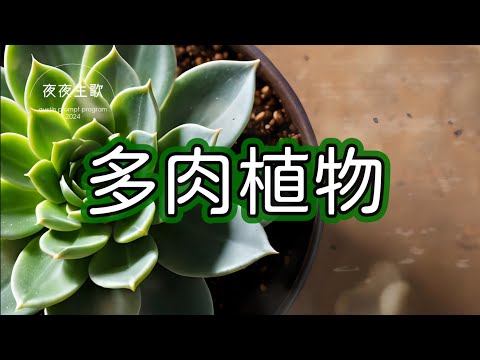 多肉植物