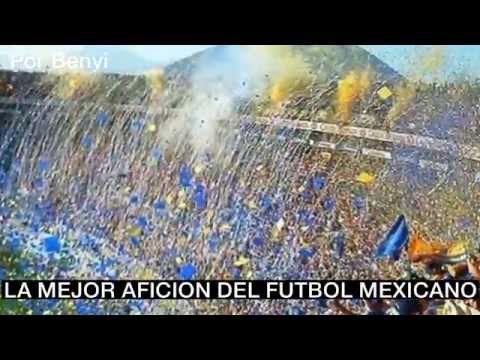 "LIBRES Y LOCOS, LA AFICIÓN MÃS ENTREGADA Y RUIDOSA EN MÃ‰XICO" Barra: Libres y Lokos • Club: Tigres