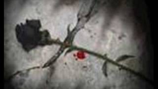 Porta  -  Mi rosa negra