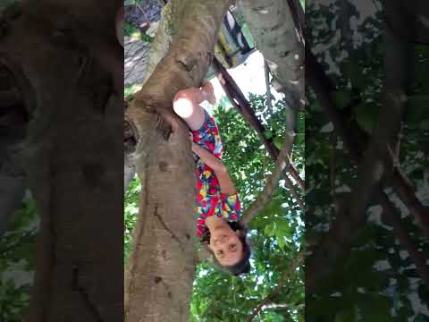 Tiny Traveler || Mouktika || Getting close to nature