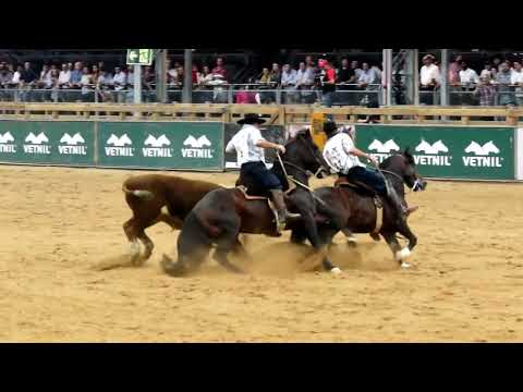 Paleteada - Freio de Ouro 2024