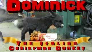 Dominick The Italian Christmas Donkey
