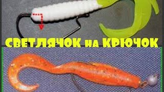 Светлячок как приманка для рыбалки